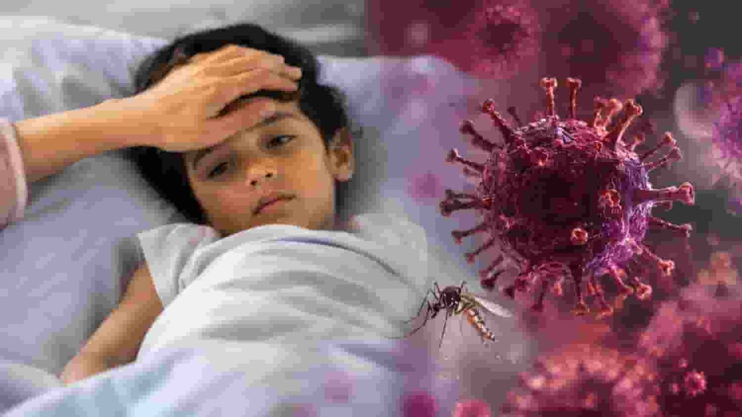Chandipura Virus