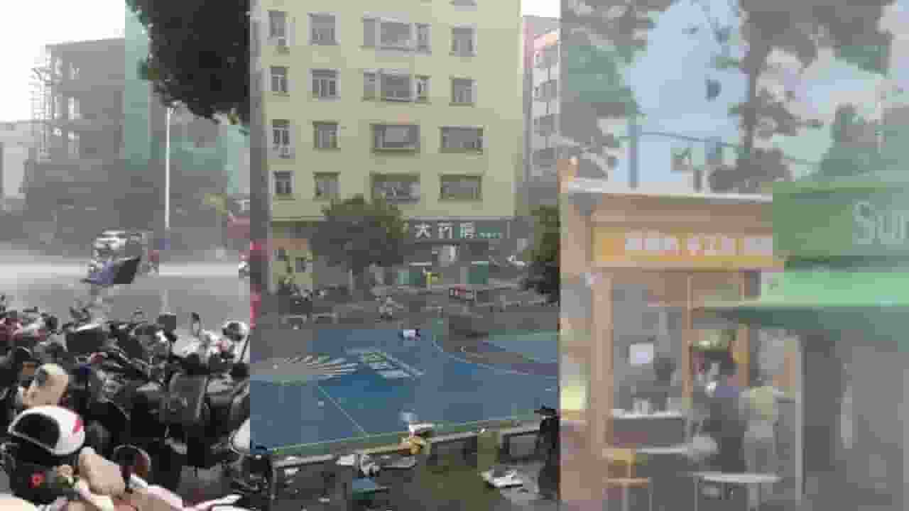 China News