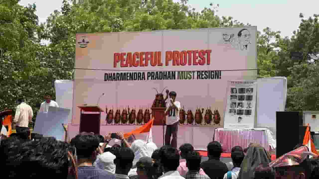 cockroach party protest