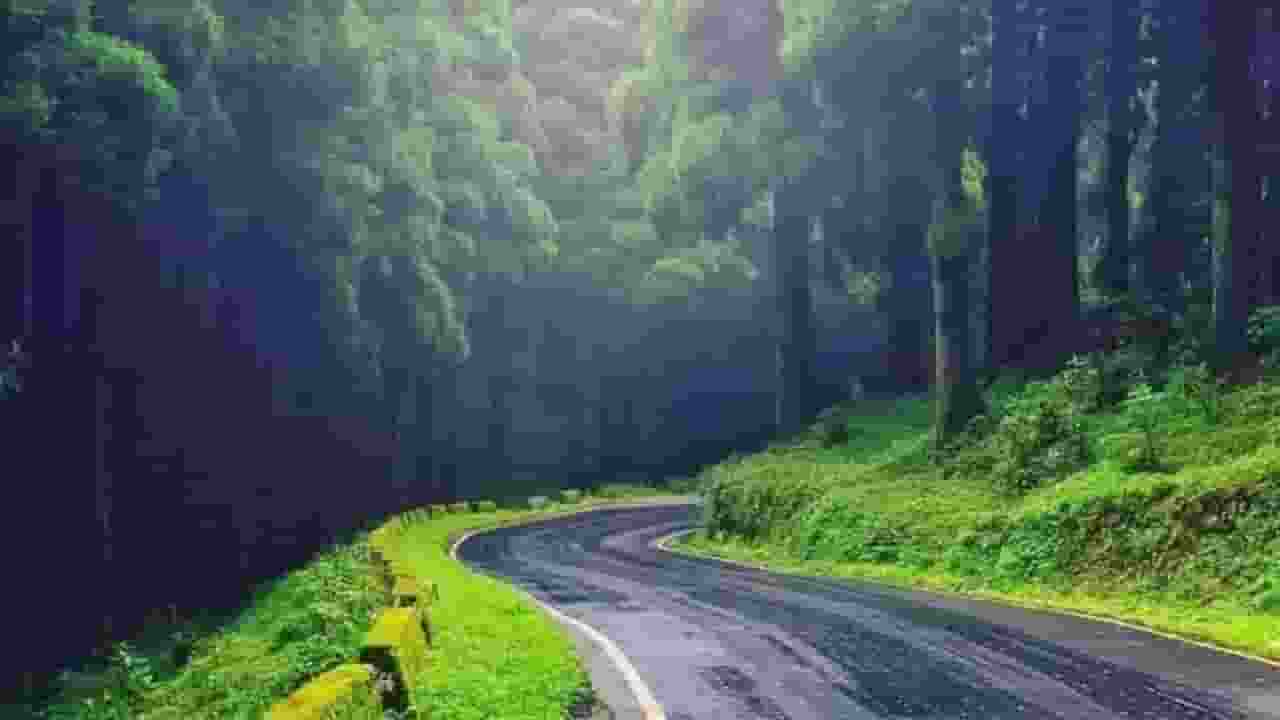 Darjeeling Natural Beauty