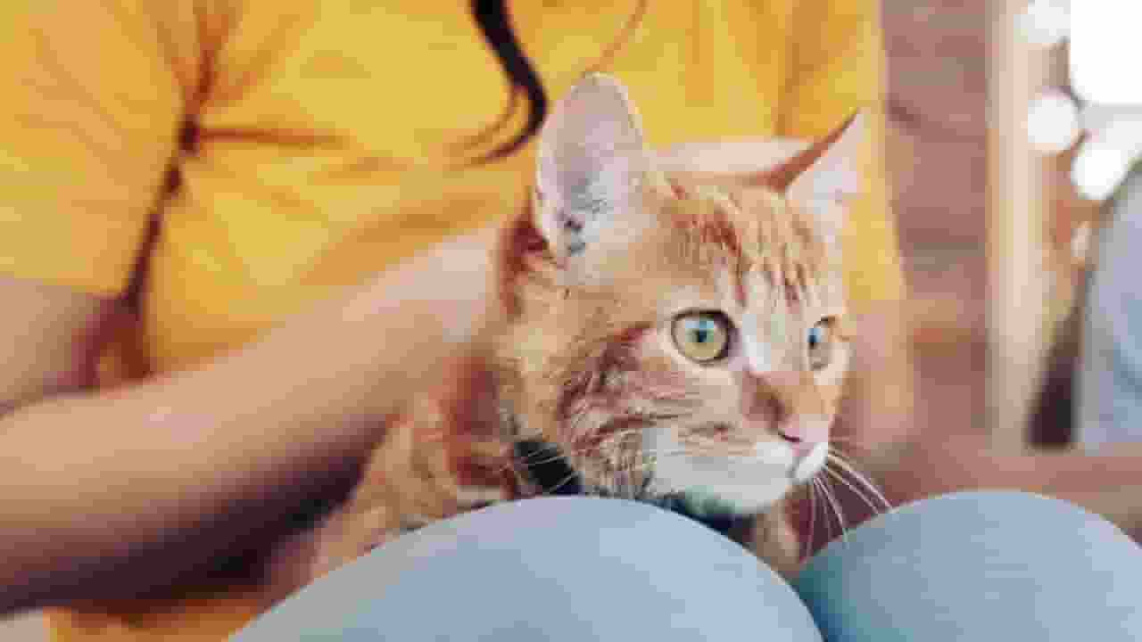 Symbolic Image, Photo Credit: Freepik 