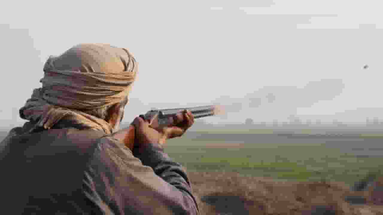 Gun Fire
