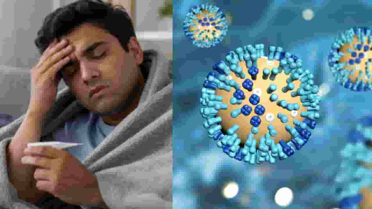 H1N1