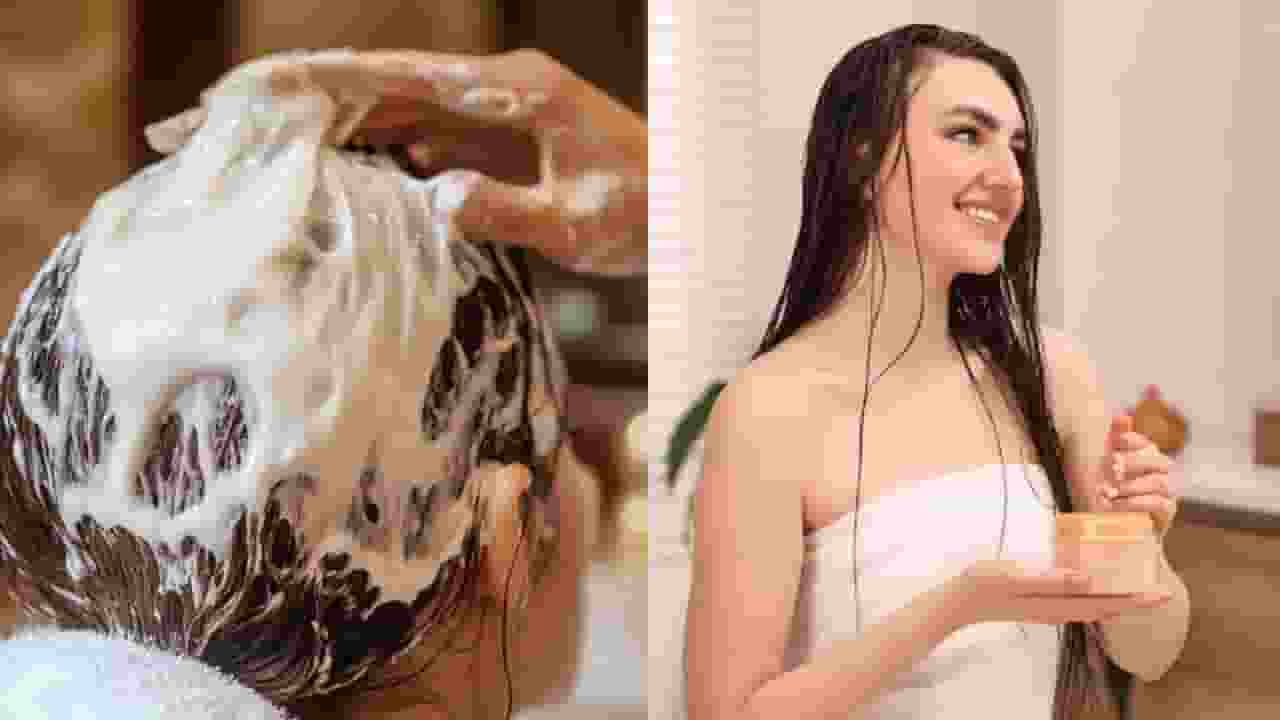 curd vs yoghurt