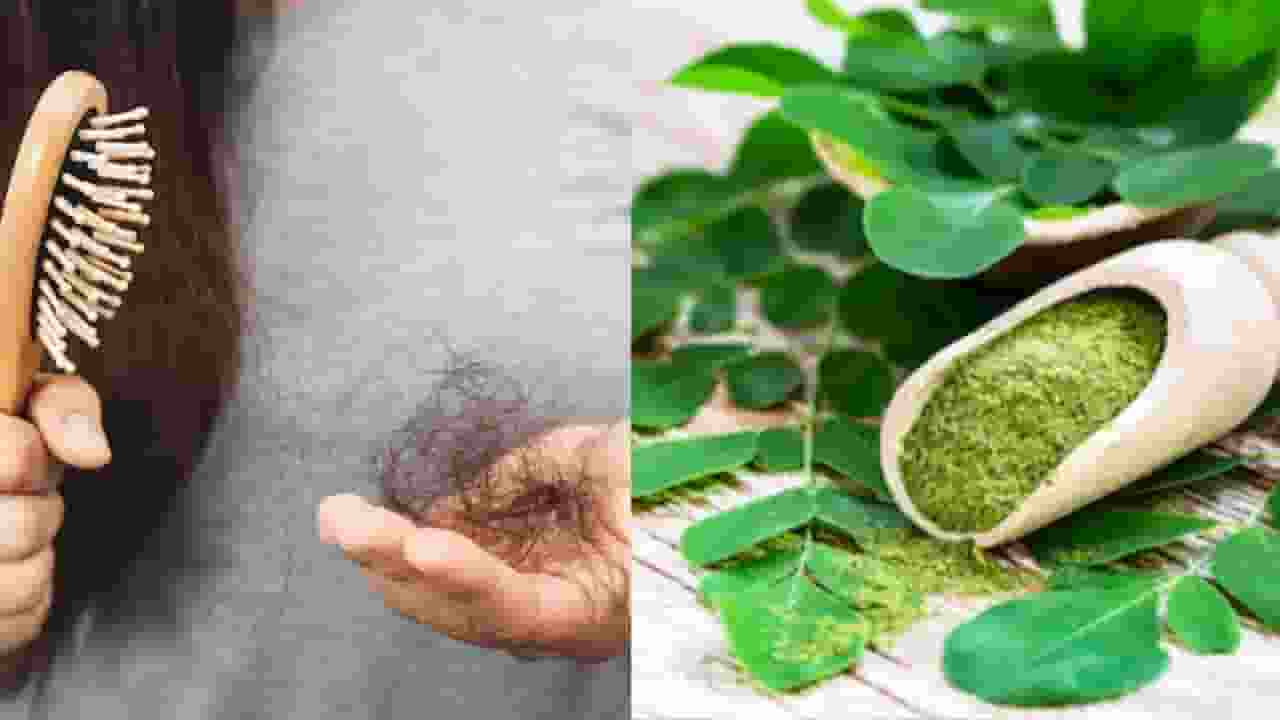 moringa prevents hairfall