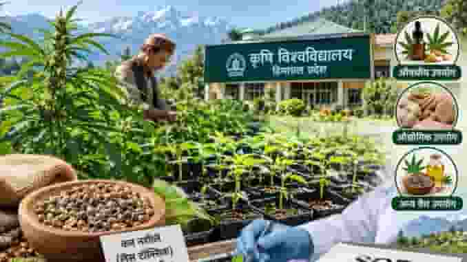प्रतीकात्मक तस्वीर, Photo Credit-ChatGPT