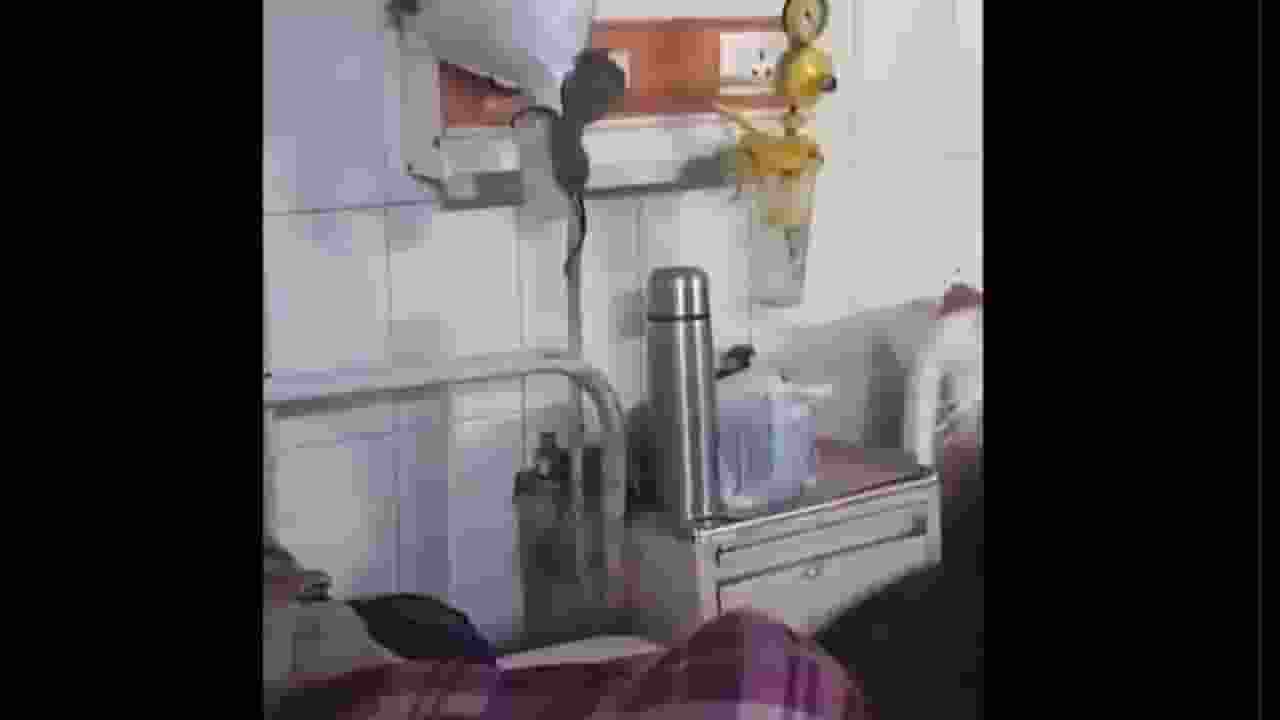 Gonda medical collage