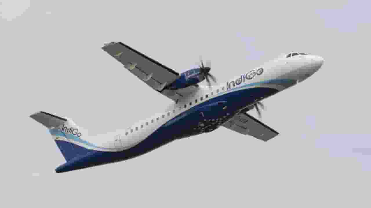 indigo airlines