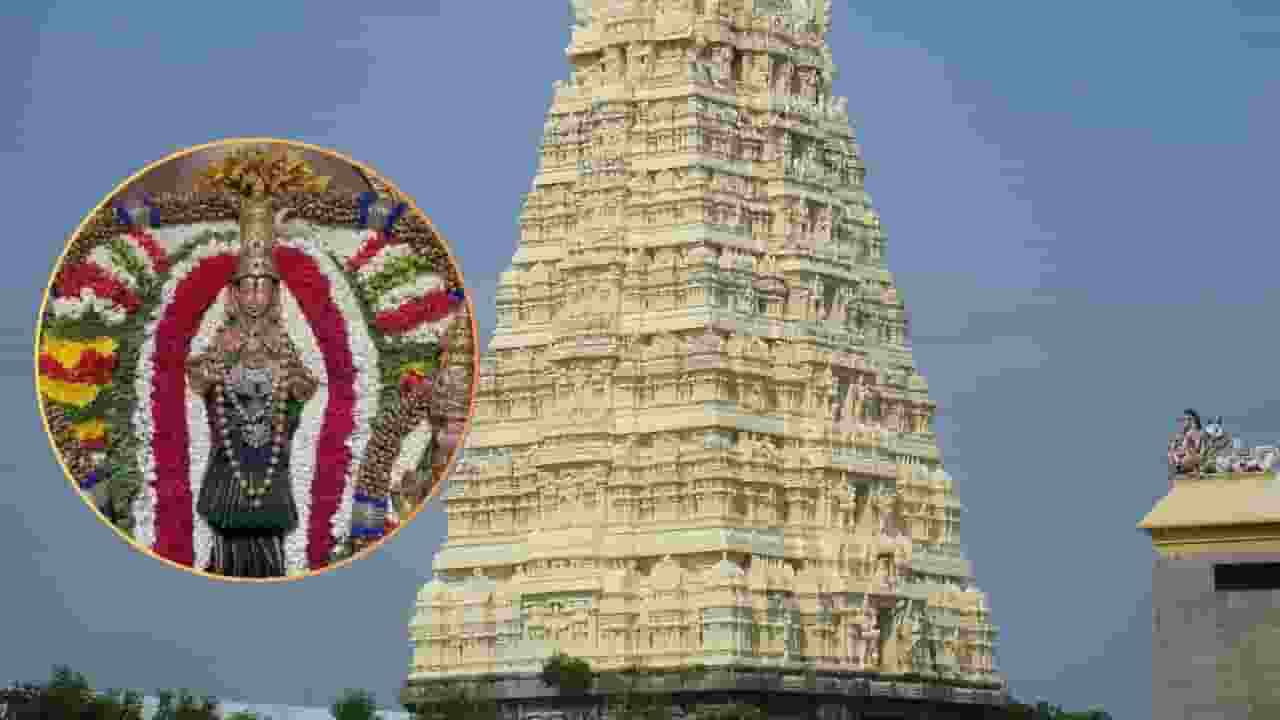 Image of Kamakshi 