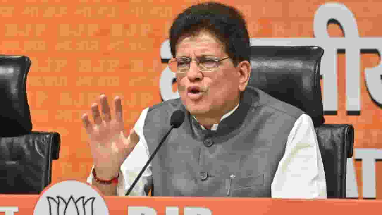 Piyush Goyal appointed BJP treasurer will removed from Modi cabinet