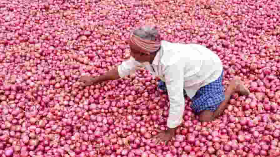 Onion prices will rise further Diwali