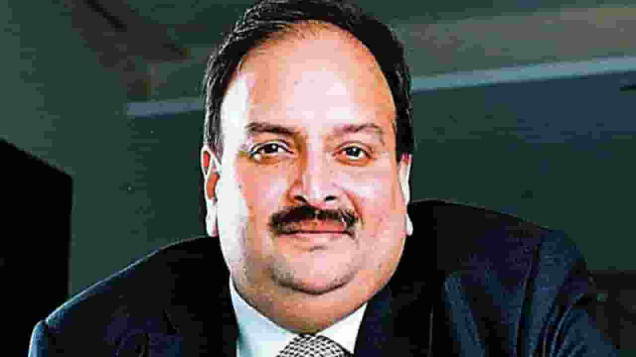 MEA Secretary answer when govt extradite fugitive businessman Mehul Choksi India