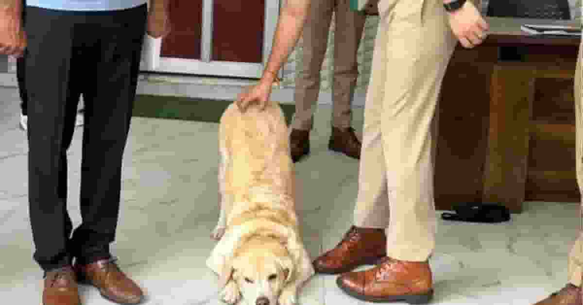 UP Police Dog Marry