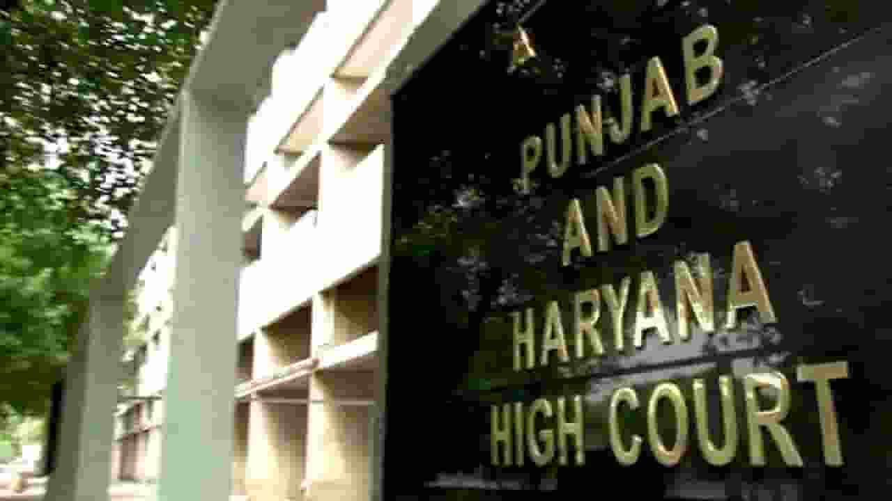punjab haryana high court