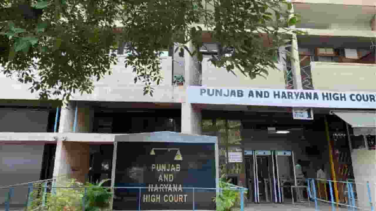 punjab and haryana high court