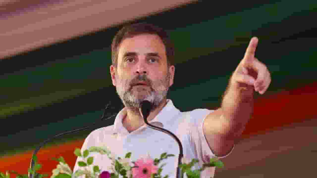 rahul gandhi : pti
