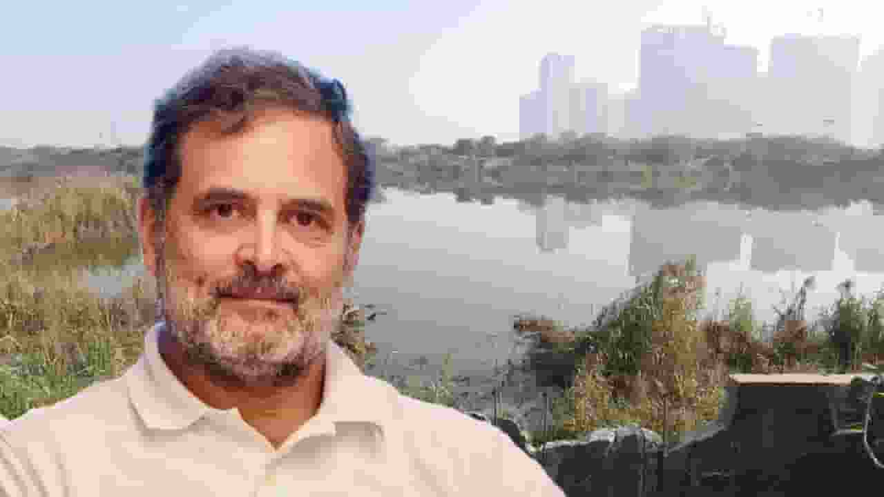 rahul gandhi on noida sector 150 accident