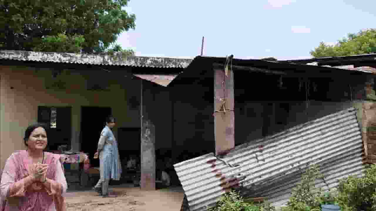 Rajasthan School 