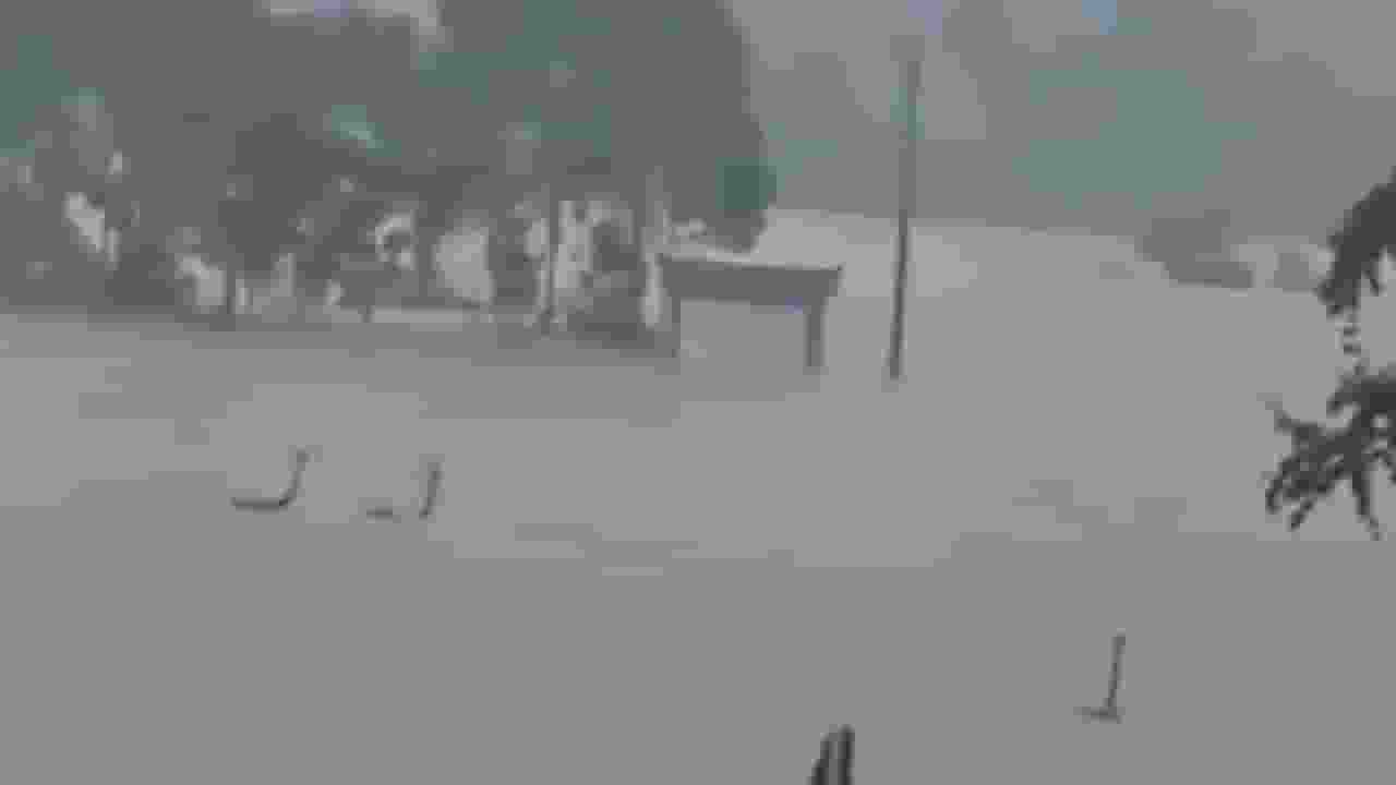 China Snake Flood