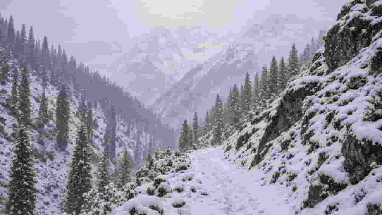 प्रतीकात्मक तस्वीर, Photo Credit-Grok