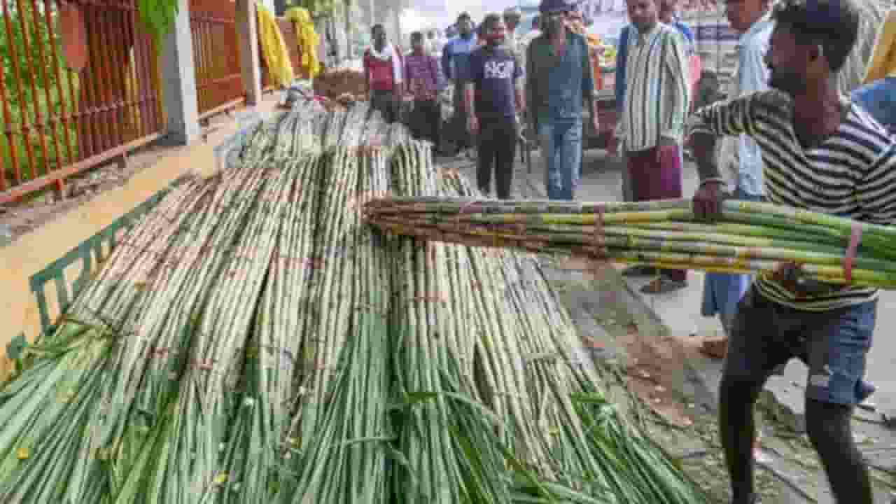 Maharashtra sugarcane cutters workers