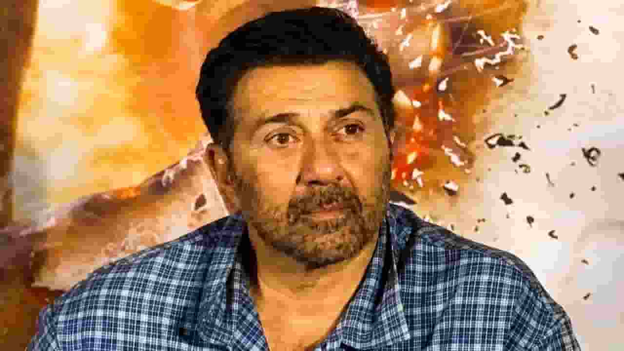 sunny deol