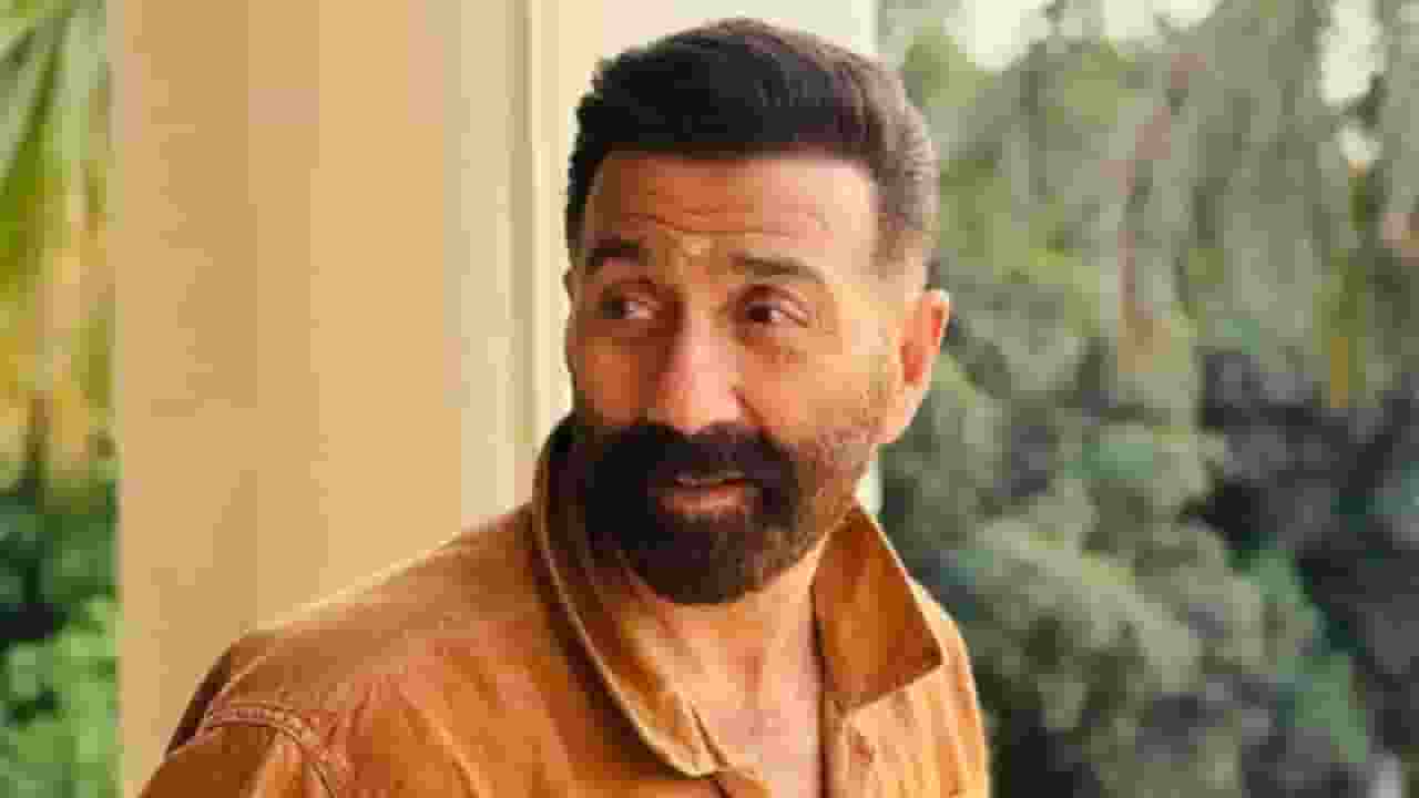 sunny deol