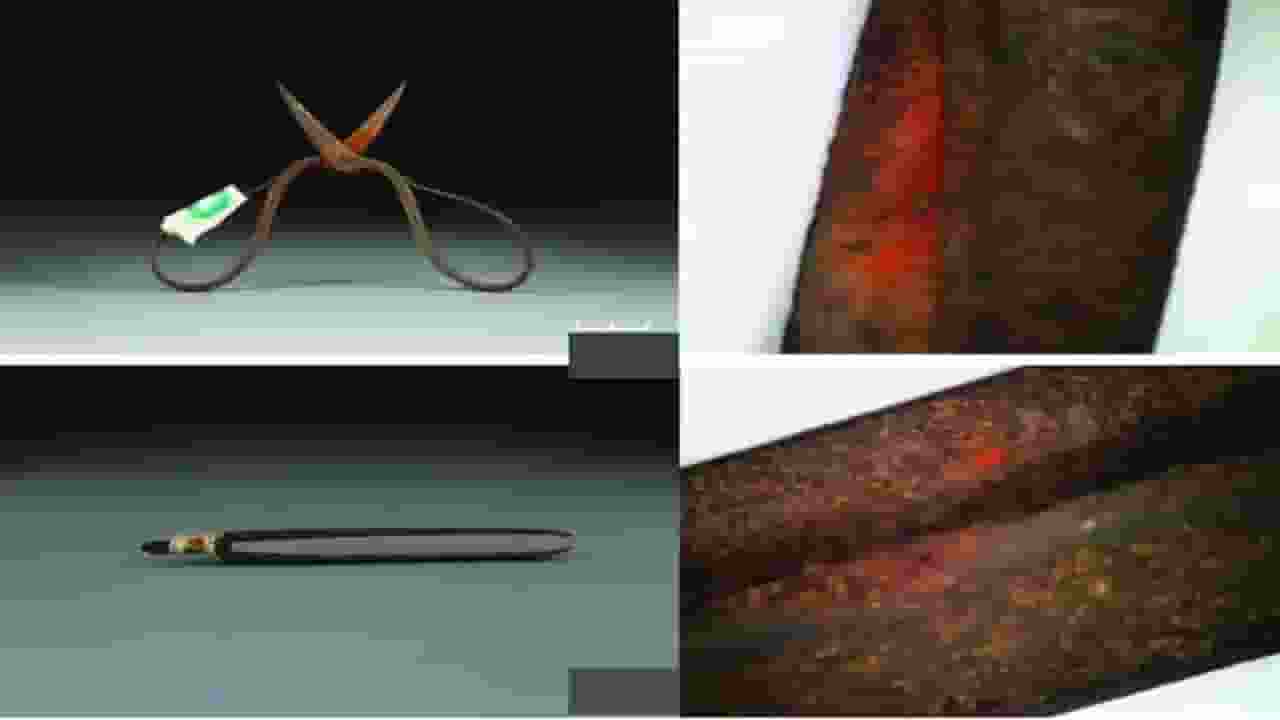 600 year old medical tools