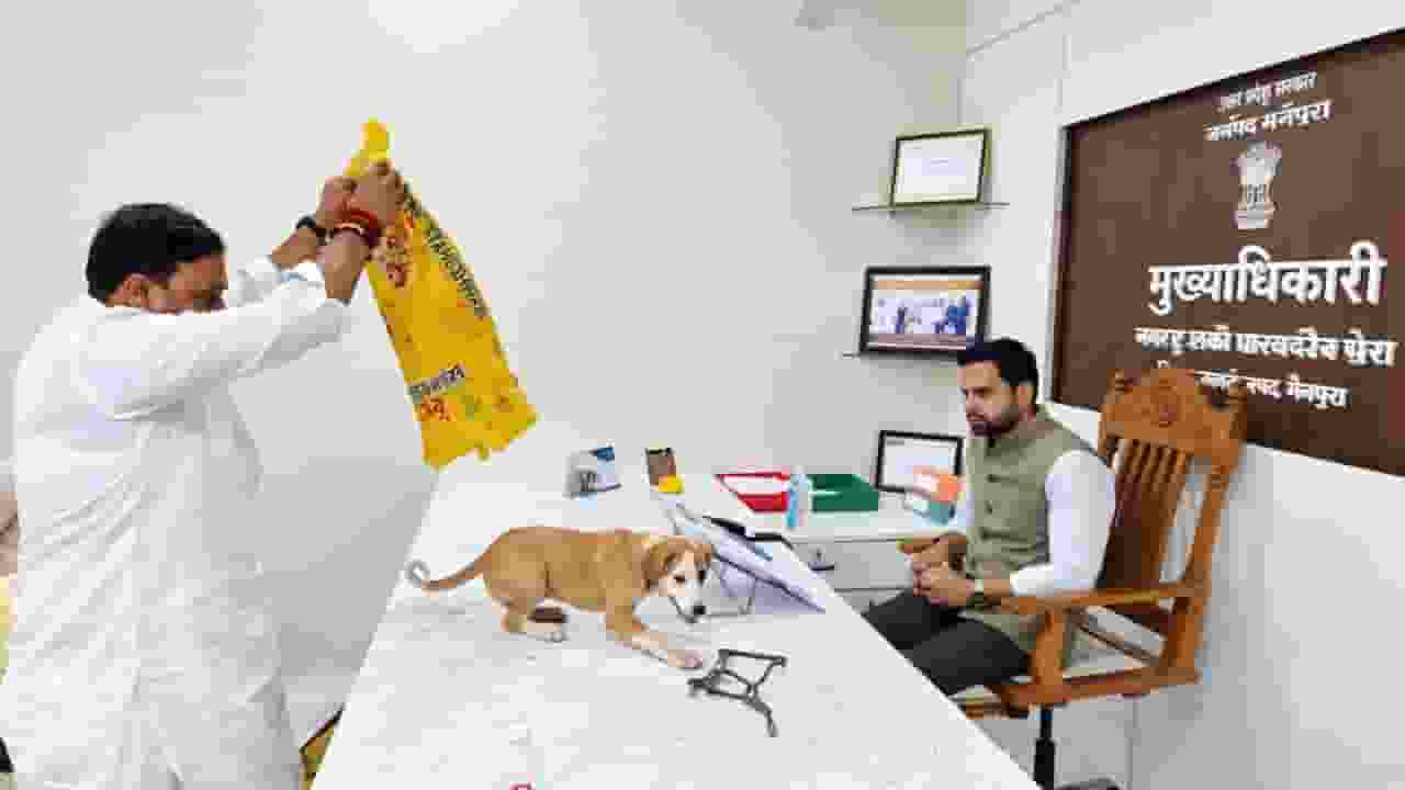 Stray Dogs Viral Video 