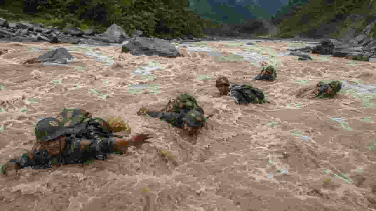 army
