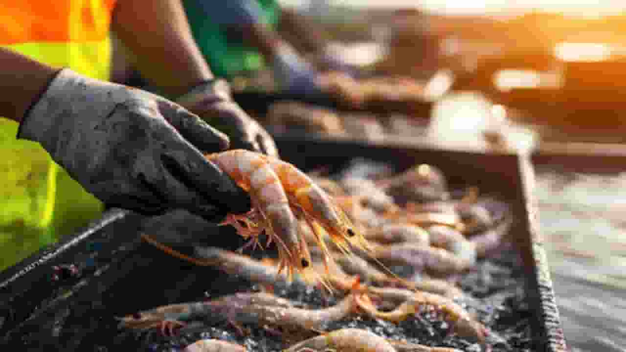 Symbolic Image, Photo Credit: Social Media 