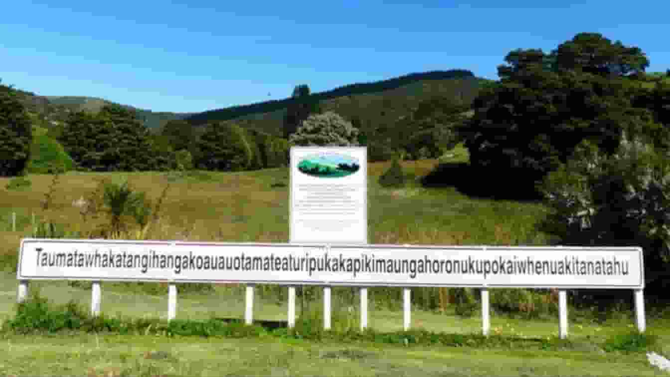 Social Media Viral Name