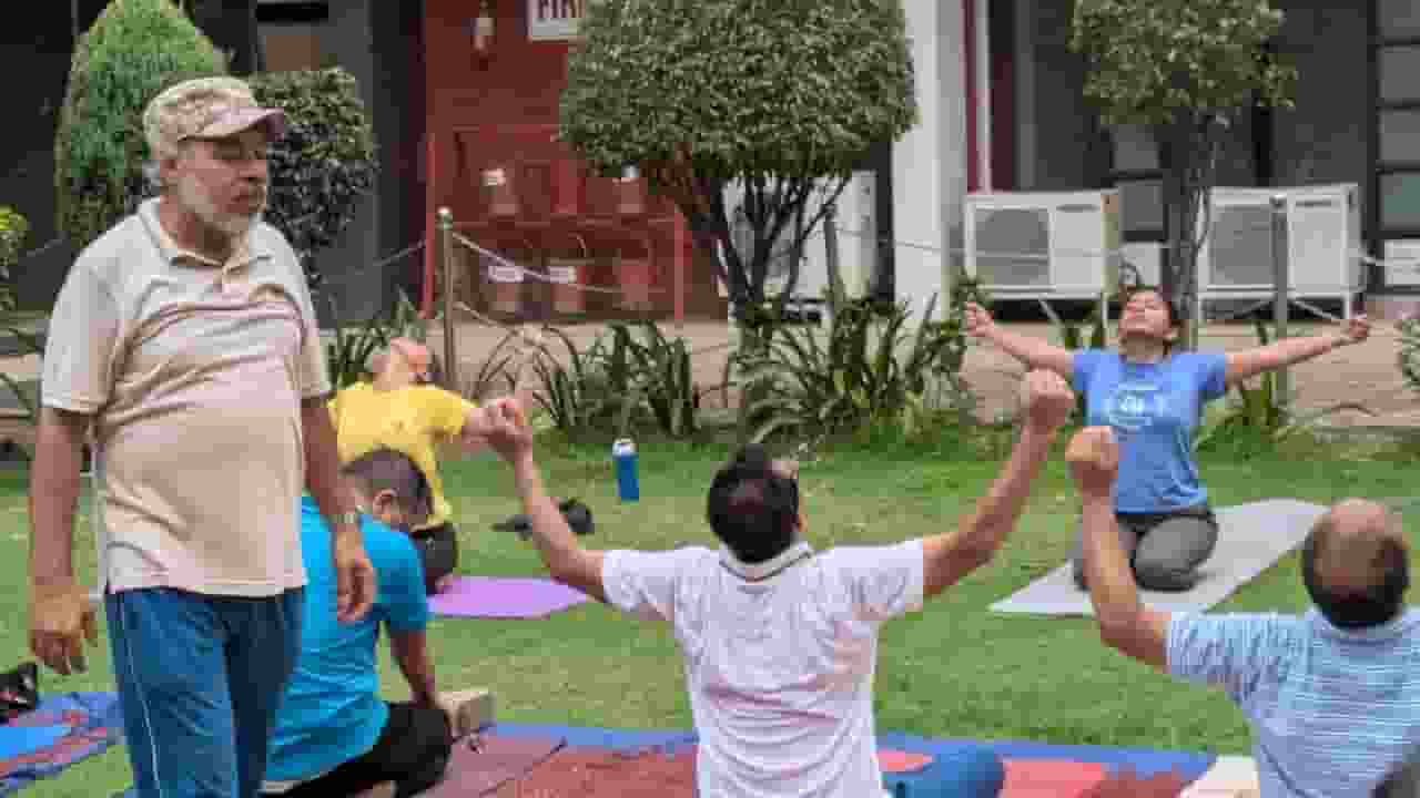 Yoga camp