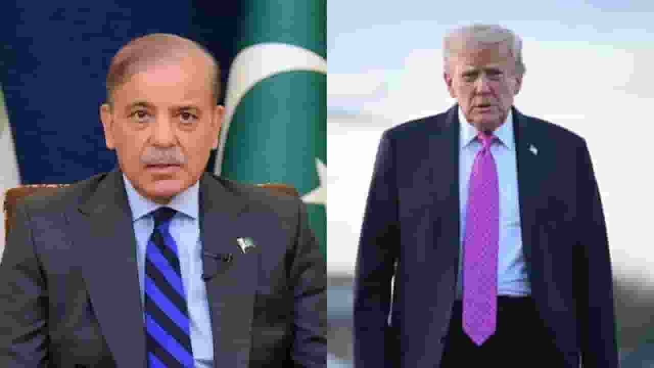 donald trump and shahbaz sharif