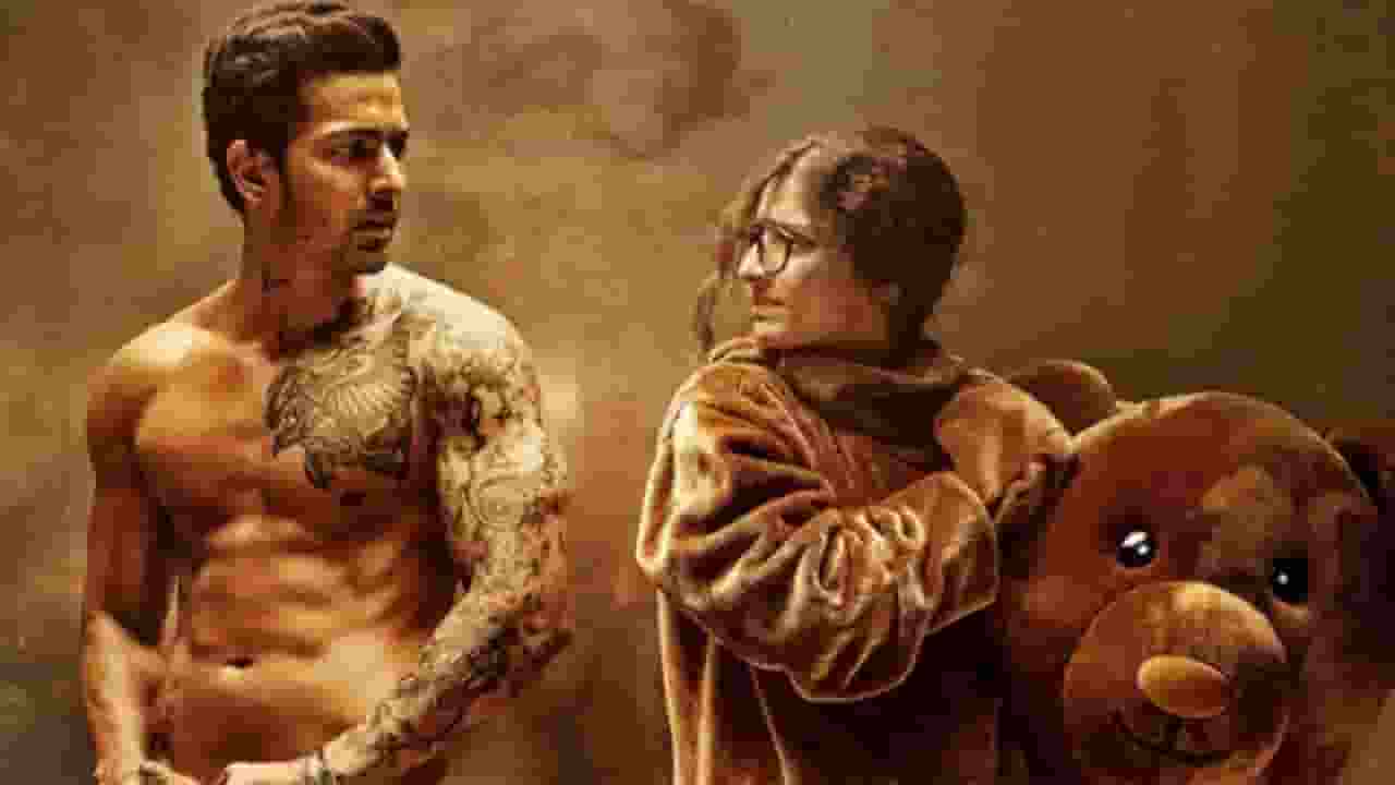 फैंस के लिए खुशखबरी, 'सनम तेरी कसम 2' इस दिन हो सकती है रिलीज Sanam Teri Kasam