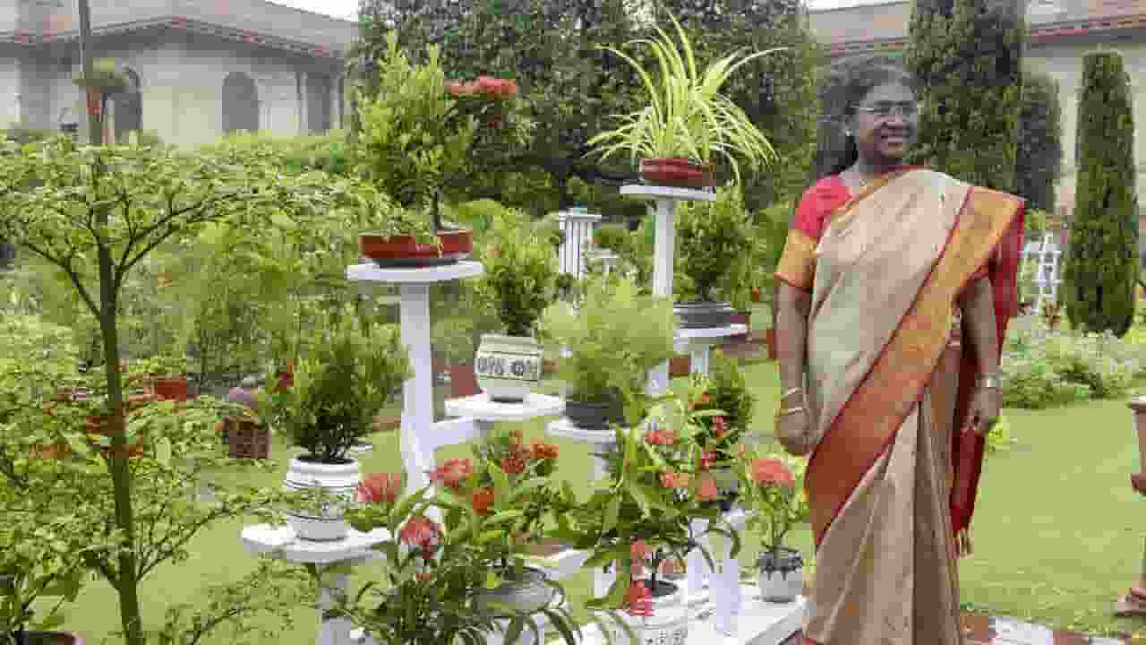 16 अगस्त से खुल जाएगा अमृत उद्यान, एंट्री का टिकट कैसे मिलेगा? जानिए president droupadi murmu inaugrating : Photo Credit: PTI