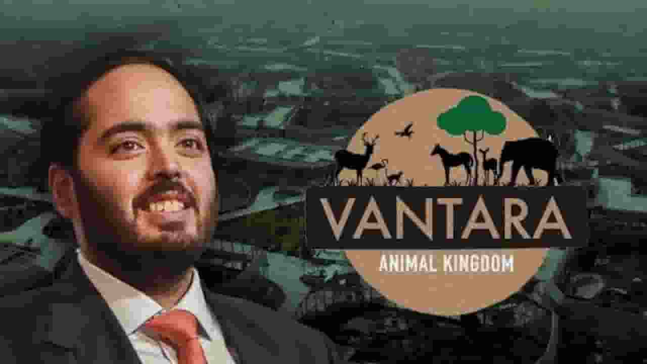 दुनिया का सबसे बड़ा एनीमल रेस्क्यू सेंटर, क्या है वनतारा की विशेषताएं? Anant Ambani