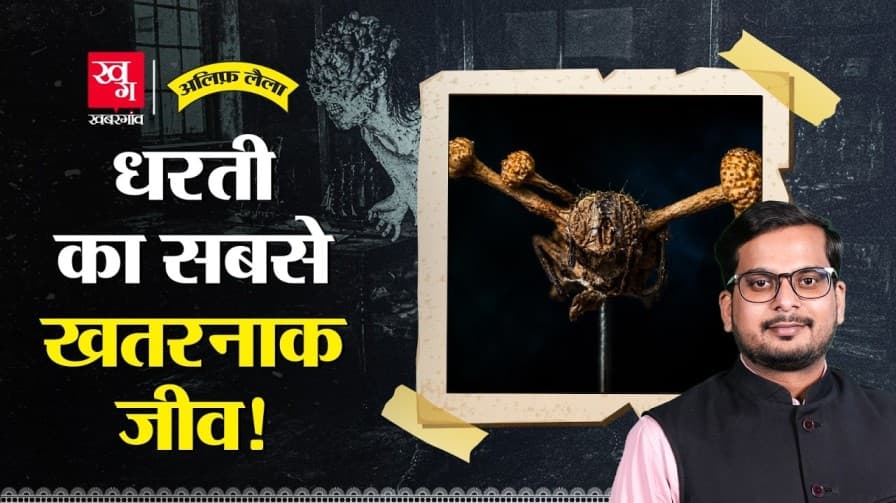 रहस्यमयी जीव फंगस की कहानी, जानें रहस्यमयी जीव फंगस की कहानी, जानें