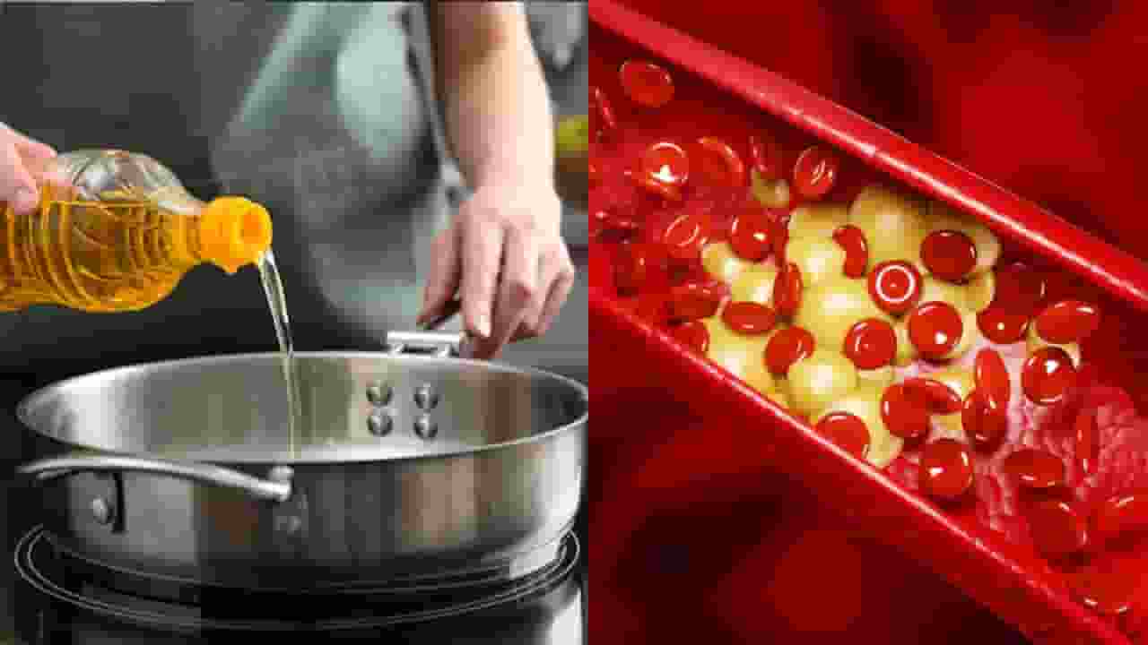 cooking oil increase cholesterol