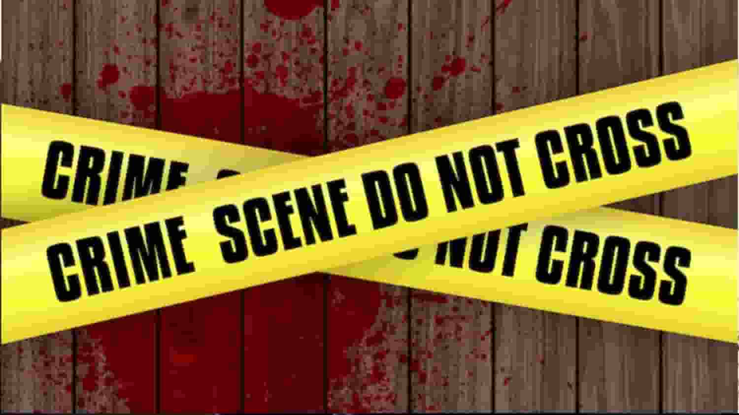 कुत्ता लेकर घूम रहा था कटा हुआ हाथ, 5 जगहों पर मिले इंसानी शरीर के अंग Crime