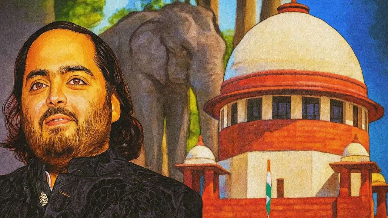 आरोप और SIT का गठन; अनंत अंबानी के वंतारा की जांच क्यों होगी?
vantara sc