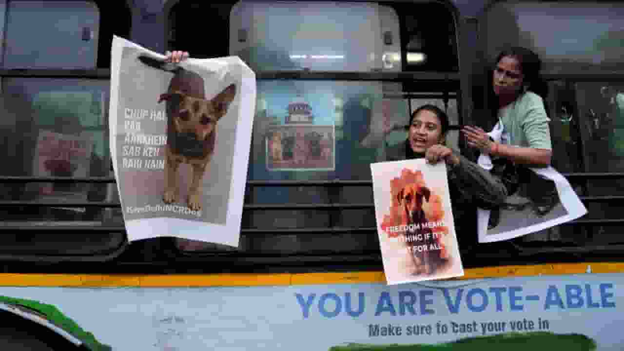 कुत्तों की धरपकड़ से दिल्ली में तूफान, आक्रोश से आंदोलन तक आए लोग Delhi Animal Protest