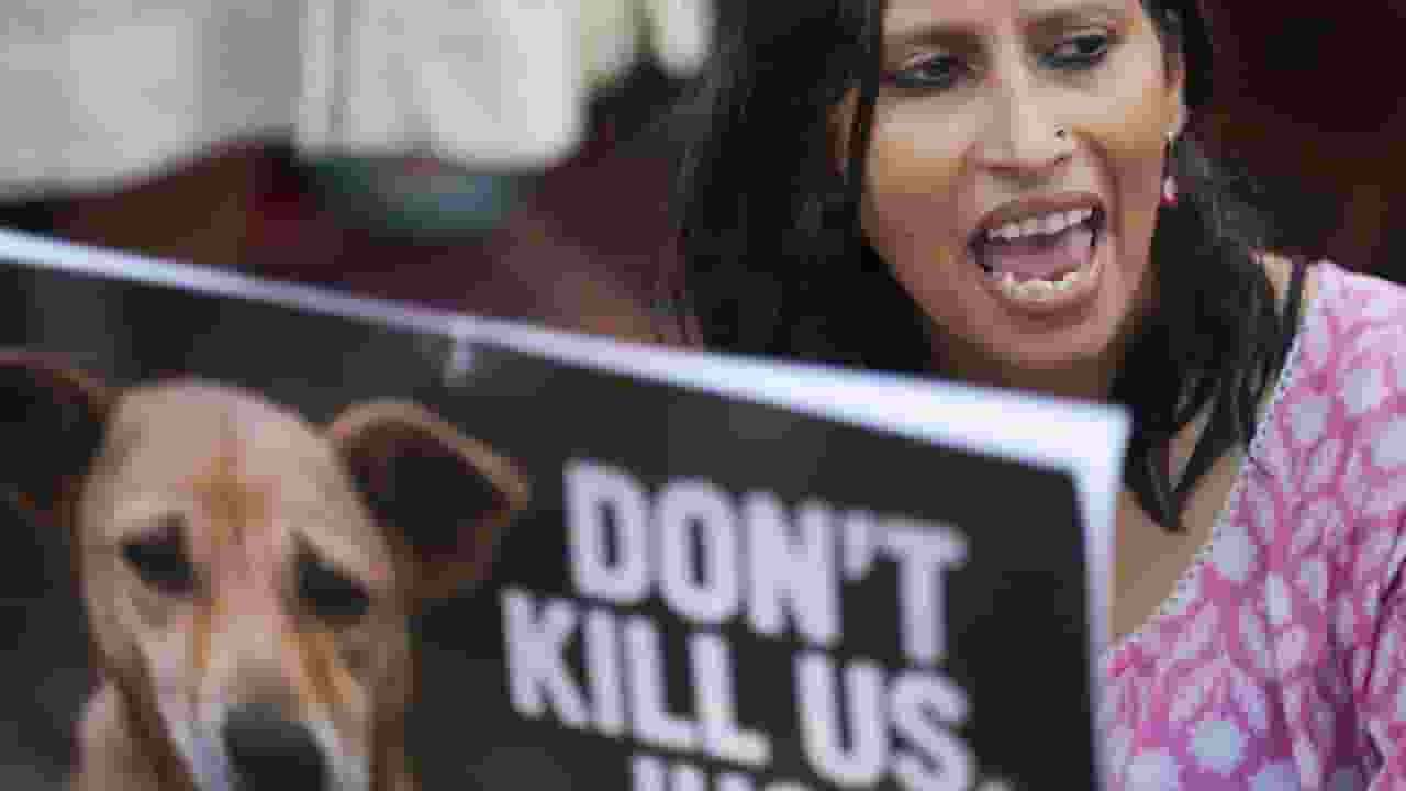 कुत्तों पर फैसला SC का, दिल्ली सरकार के खिलाफ WB में नारेबाजी क्यों? Animal Protest