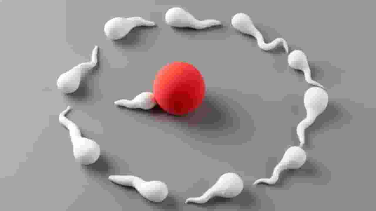 मां बनने का सपना हो सकता है पूरा, जानिए एग फ्रीज कराने की सही उम्र what is egg freezing