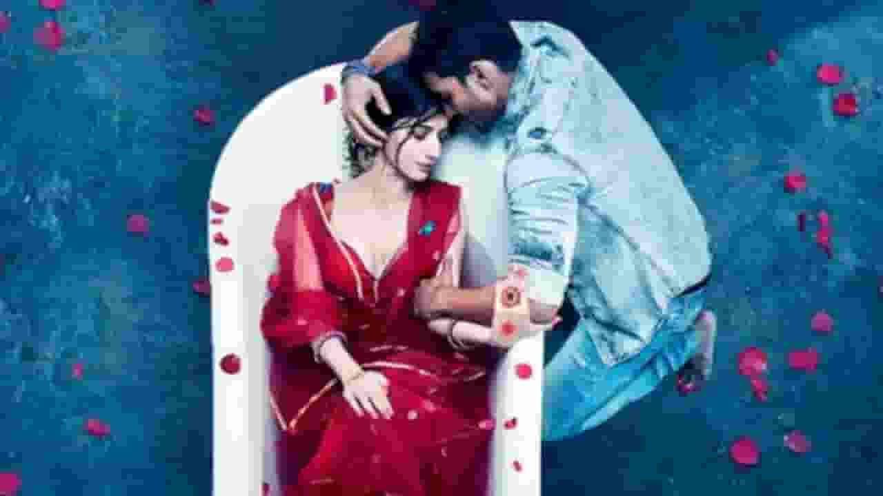 'सनम तेरी कसम 2' के कॉपीराइट पर डायरेक्टर, प्रोड्यूसर में विवाद क्यों?
Harshvardhan Rane, Mawra Hocane