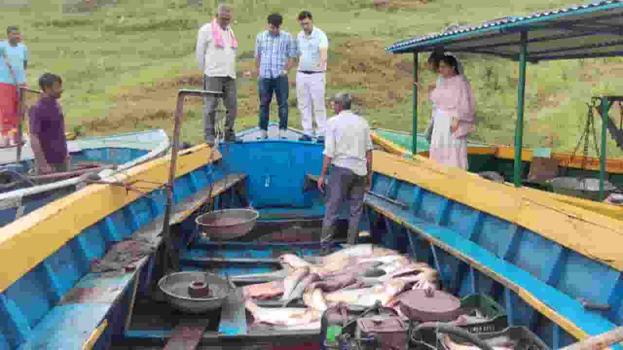 Himachal Pradesh fish