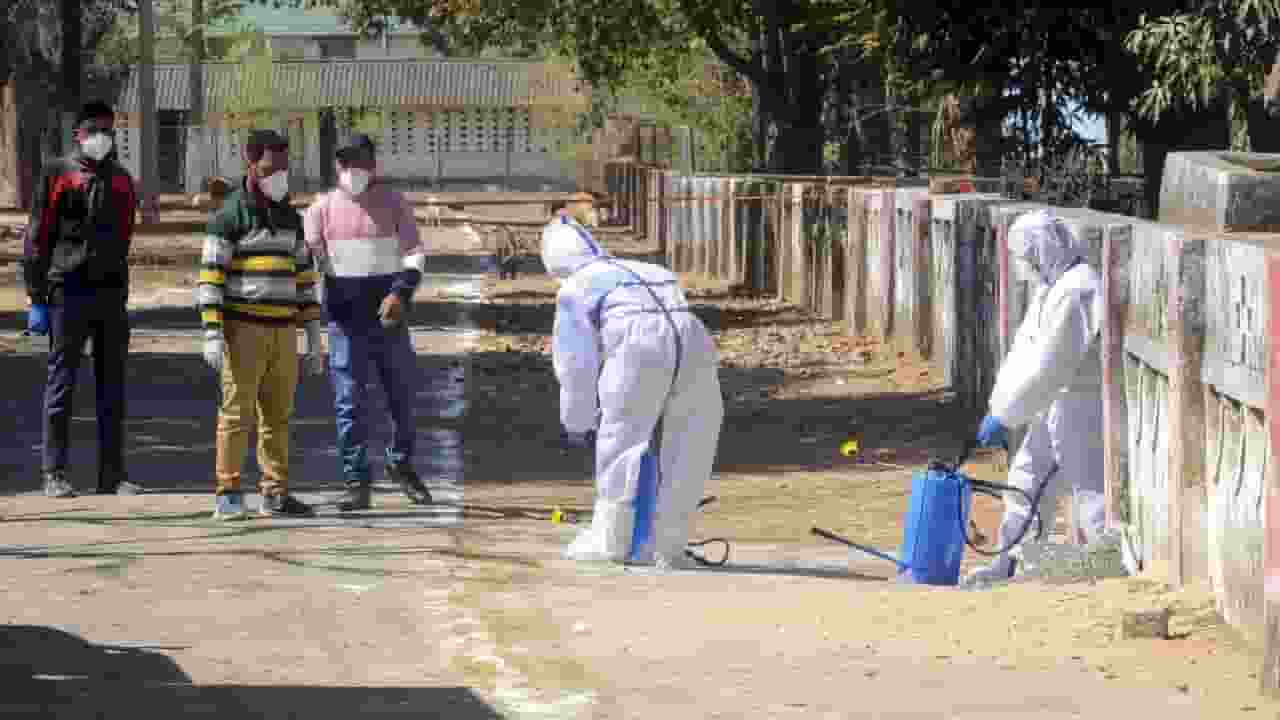 यूपी के चिड़ियाघरों में बर्ड फ्लू का कहर, एक बब्बर शेर की मौत bird flu
