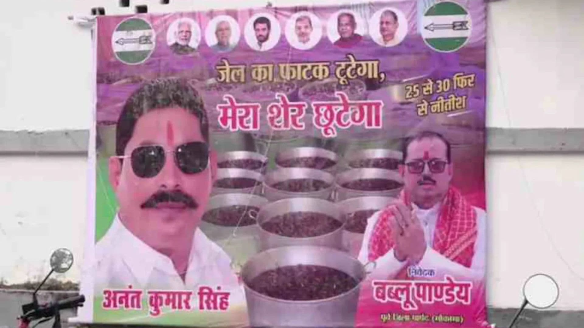 Poster for Anant Singh
