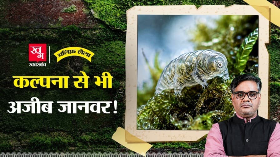 क्या जानवर झेल सकता है 30 साल तक भूख? क्या जानवर झेल सकता है 30 साल तक भूख?