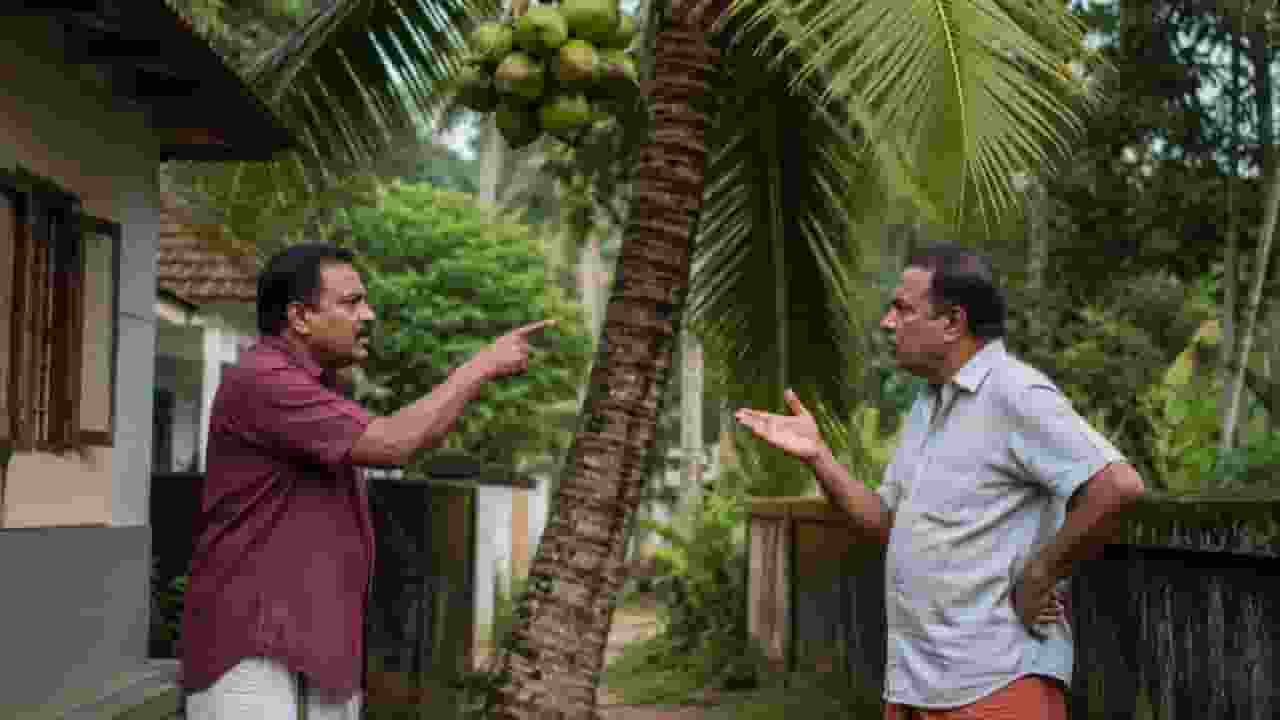 kerala high court coconut